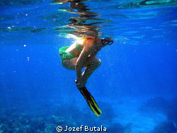 Preparing to Dive. by Jozef Butala 